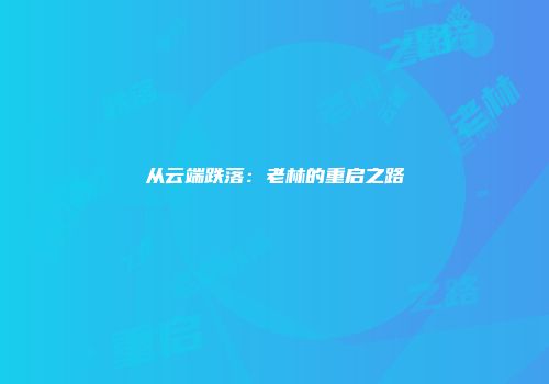 从云端跌落：老林的重启之路