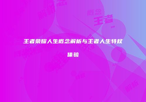 王者荣耀人生概念解析与王者人生特权体验