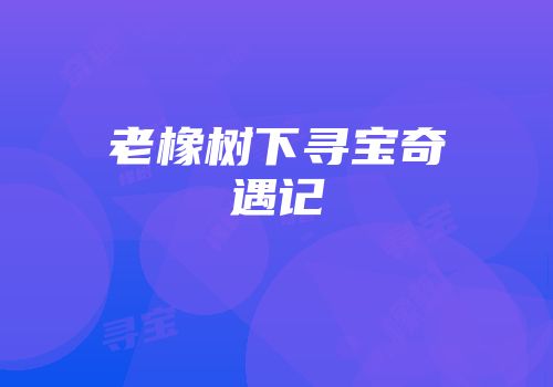 老橡树下寻宝奇遇记