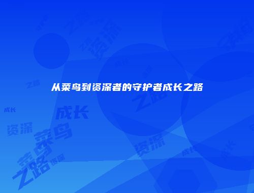 从菜鸟到资深者的守护者成长之路