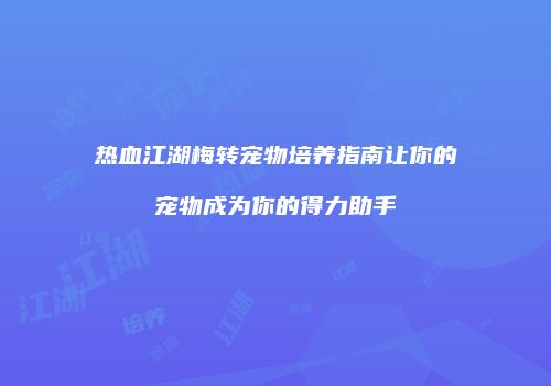 热血江湖梅转宠物培养指南让你的宠物成为你的得力助手
