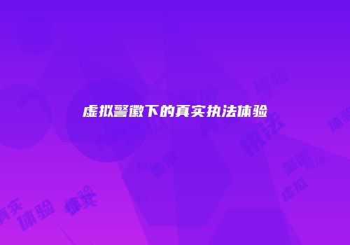虚拟警徽下的真实执法体验