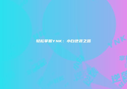 轻松掌握YNK：小白逆袭之路