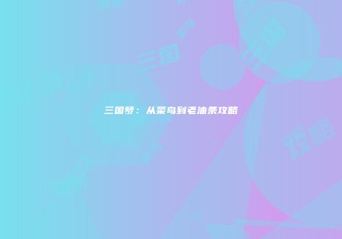 三国梦：从菜鸟到老油条攻略