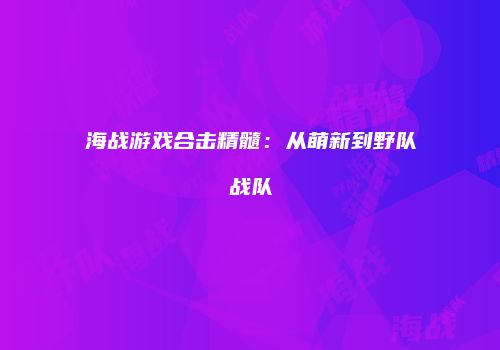海战游戏合击精髓：从萌新到野队战队