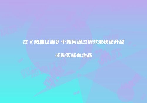 在《热血江湖》中如何通过捐款来快速升级或购买稀有物品