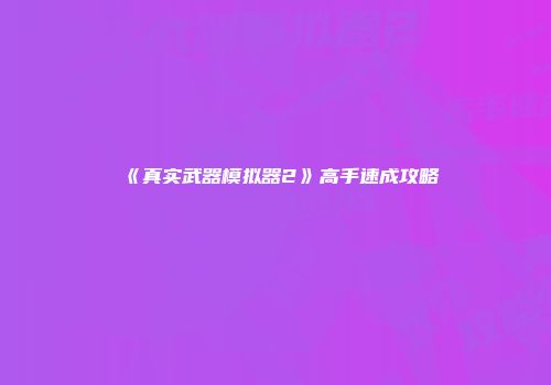 《真实武器模拟器2》高手速成攻略