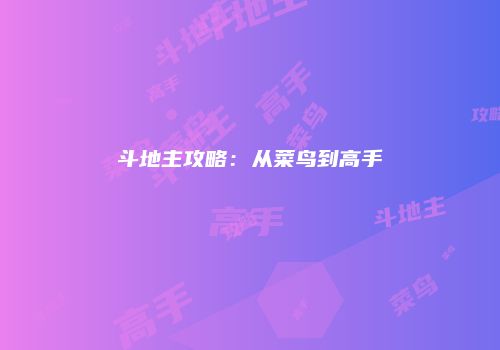 斗地主攻略：从菜鸟到高手