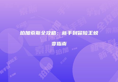珀加索斯全攻略：新手到冒险王蜕变指南