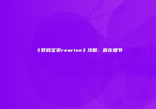 《数码宝贝rearise》攻略：赢在细节