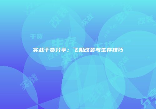 实战干货分享：飞机改装与生存技巧