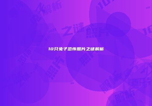 10只兔子恐怖照片之谜解析