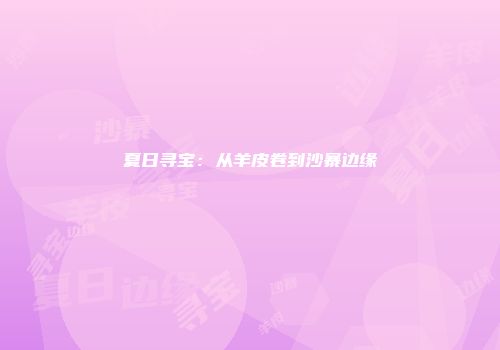 夏日寻宝：从羊皮卷到沙暴边缘