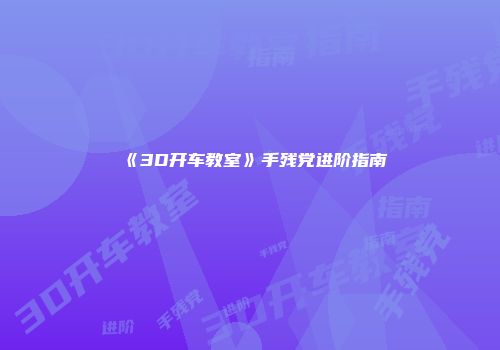 《3D开车教室》手残党进阶指南