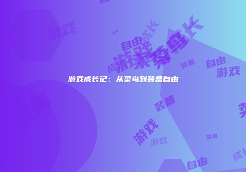 游戏成长记：从菜鸟到装备自由
