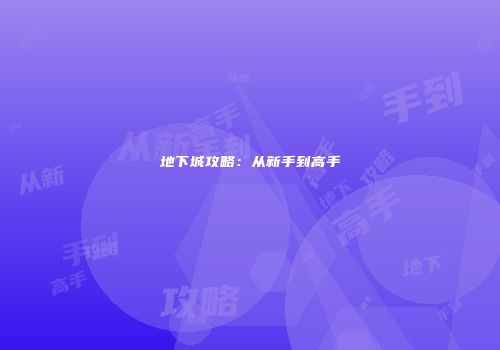 地下城攻略：从新手到高手