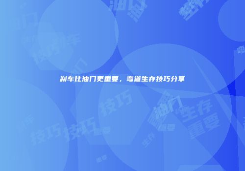 刹车比油门更重要，弯道生存技巧分享