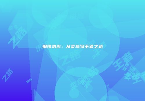 钢铁洪流：从菜鸟到王者之路