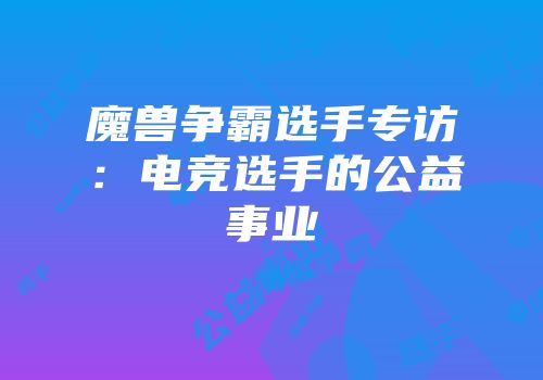 魔兽争霸选手专访：电竞选手的公益事业
