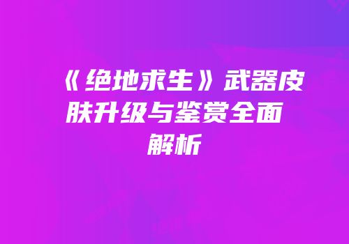 《绝地求生》武器皮肤升级与鉴赏全面解析
