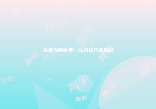 从菜鸟到高手：吃鸡技巧全解析