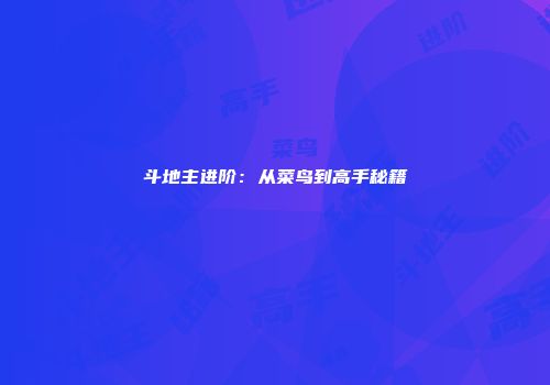 斗地主进阶：从菜鸟到高手秘籍