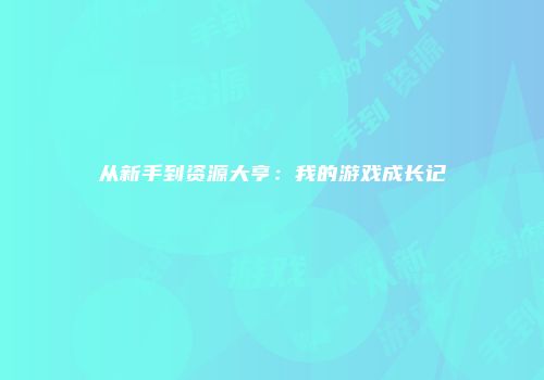 从新手到资源大亨：我的游戏成长记