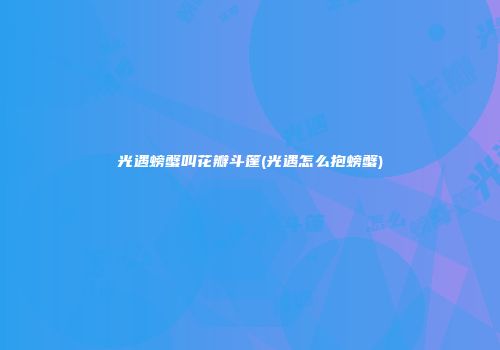 光遇螃蟹叫花瓣斗篷(光遇怎么抱螃蟹)