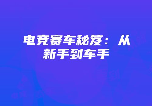 电竞赛车秘笈：从新手到车手