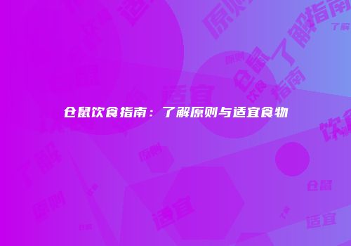 仓鼠饮食指南：了解原则与适宜食物