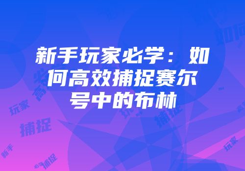 新手玩家必学：如何高效捕捉赛尔号中的布林
