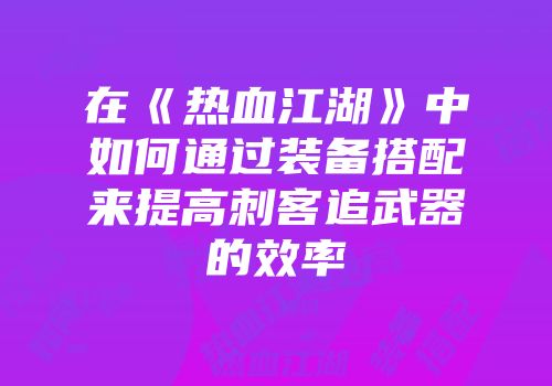 在《热血江湖》中如何通过装备搭配来提高刺客追武器的效率
