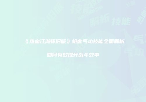 《热血江湖怀旧版》枪客气功技能全面解析如何有效提升战斗效率