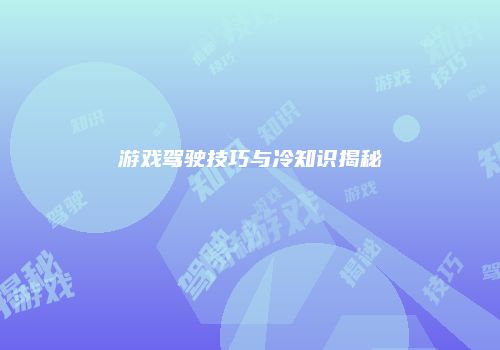 游戏驾驶技巧与冷知识揭秘