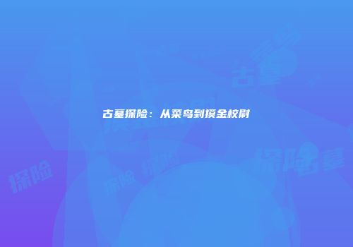 古墓探险：从菜鸟到摸金校尉