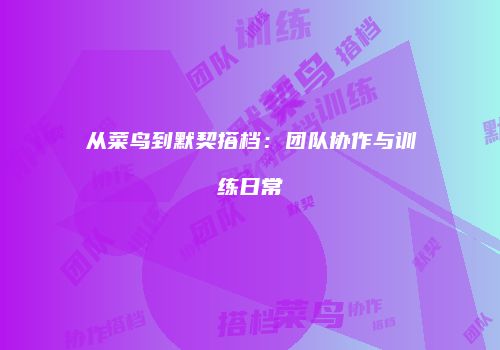 从菜鸟到默契搭档：团队协作与训练日常