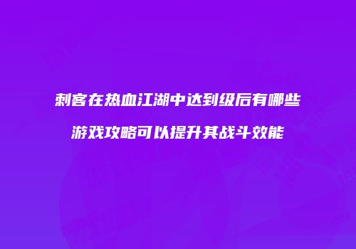 刺客在热血江湖中达到级后有哪些游戏攻略可以提升其战斗效能