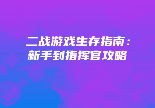 二战游戏生存指南：新手到指挥官攻略