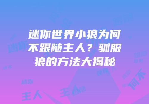 迷你世界小狼为何不跟随主人？驯服狼的方法大揭秘