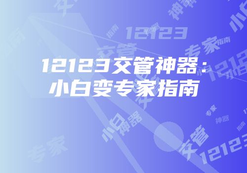 12123交管神器：小白变专家指南