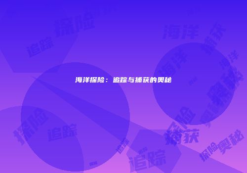 海洋探险：追踪与捕获的奥秘