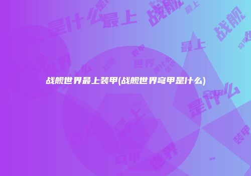 战舰世界最上装甲(战舰世界穹甲是什么)
