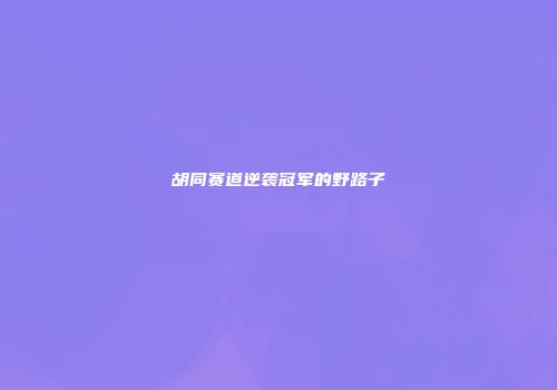 胡同赛道逆袭冠军的野路子