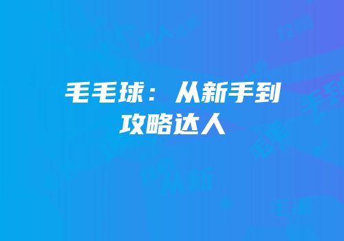 毛毛球：从新手到攻略达人