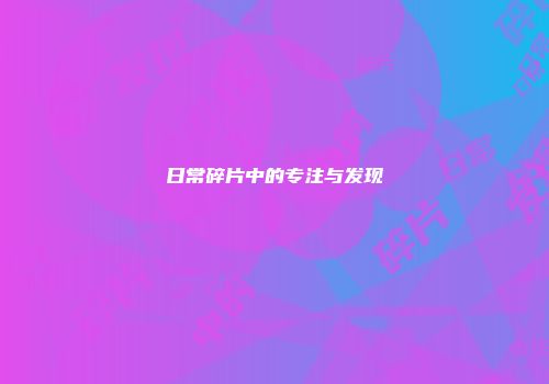 日常碎片中的专注与发现