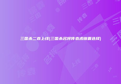 三国杀二袁上线(三国杀名将传袁术锦囊选择)