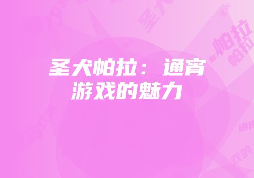 圣犬帕拉：通宵游戏的魅力