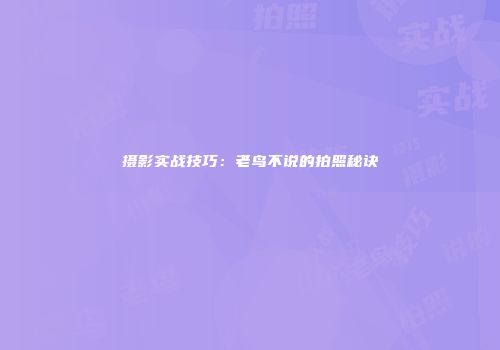 摄影实战技巧：老鸟不说的拍照秘诀