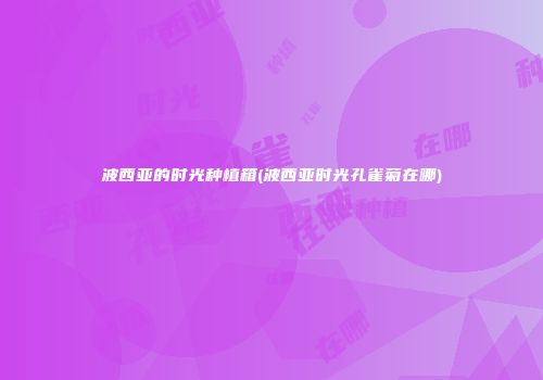 波西亚的时光种植箱(波西亚时光孔雀菊在哪)