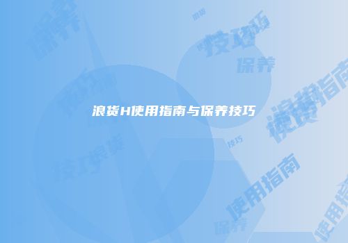 浪货H使用指南与保养技巧